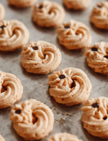 Pumpkin Peanut Butter Breakfast Cookies