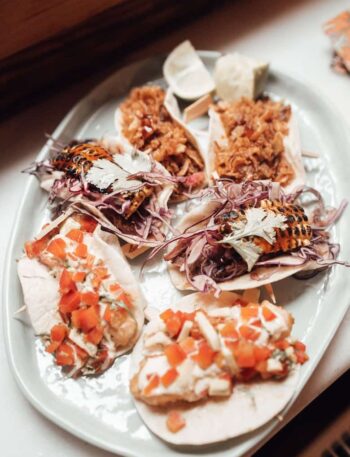 The Delicious Chicken Tinga Tacos
